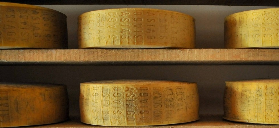 Il Consorzio Tutela Formaggio Asiago festeggia 40 anni e lancia nuove sfide: Oltre un milione e mezzo di forme